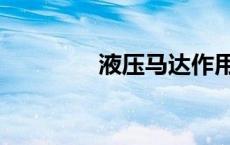 液压马达作用（液压马达）