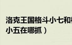 洛克王国格斗小七和格斗小八（洛克王国格斗小五在哪抓）