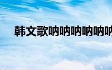 韩文歌呐呐呐呐呐呐是什么歌（韩文歌）