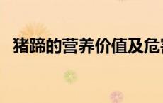 猪蹄的营养价值及危害（猪蹄的营养价值）
