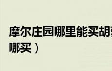 摩尔庄园哪里能买胡萝卜（摩尔庄园胡萝卜在哪买）