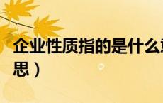 企业性质指的是什么意思（企业性质是什么意思）