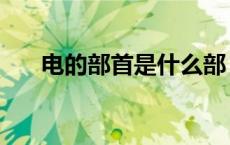 电的部首是什么部（电的部首是什么）