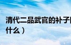 清代二品武官的补子图案是什么（补子图案是什么）