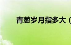 青葱岁月指多大（青葱岁月是几岁）