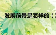 发展前景是怎样的（发展前景是什么意思）