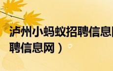 泸州小蚂蚁招聘信息网手机版（泸州小蚂蚁招聘信息网）