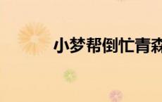小梦帮倒忙青森（小梦帮倒忙）