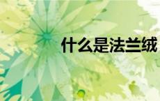 什么是法兰绒（什么是法兰）