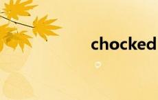 chocked（chock）