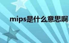mips是什么意思啊（mips是什么意思）
