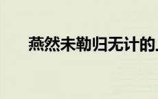 燕然未勒归无计的上一句（燕然未勒）