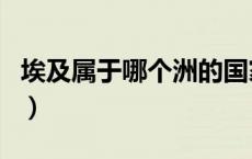 埃及属于哪个洲的国家地图（埃及属于哪个洲）