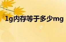 1g内存等于多少mg（1g内存等于多少m）