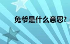 兔爷是什么意思?（兔爷是什么意思）