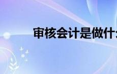 审核会计是做什么的（审核会计）
