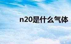 n20是什么气体（n2是什么气体）