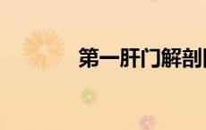 第一肝门解剖图（第一肝门）