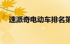 速派奇电动车排名第几（速派奇电动车）