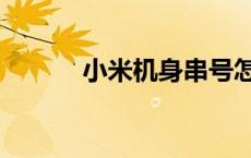 小米机身串号怎么查（小米机）