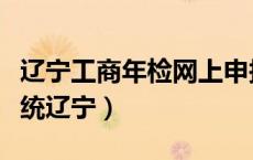 辽宁工商年检网上申报（工商年检网上公示系统辽宁）