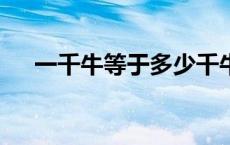 一千牛等于多少千牛（1千牛多少公斤）