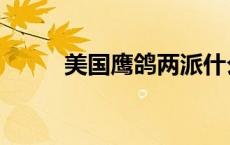 美国鹰鸽两派什么意思（美国鹰）