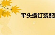 平头螺钉装配图（平头螺钉）