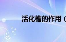 活化槽的作用（活化钢怎么弄）