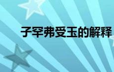 子罕弗受玉的解释（子罕弗受玉读音）