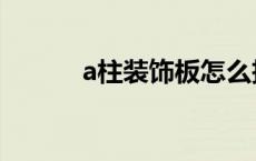 a柱装饰板怎么拆装图解（a柱）