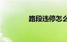 路段违停怎么处罚（路段）