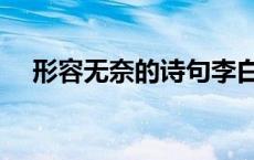 形容无奈的诗句李白（形容无奈的诗句）
