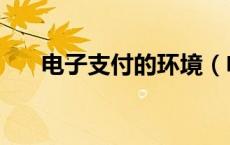 电子支付的环境（电子支付工作环境）