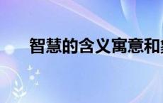 智慧的含义寓意和象征（智慧的含义）