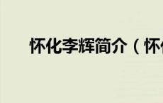 怀化李辉简介（怀化市长李晖的绯闻）