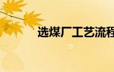 选煤厂工艺流程介绍（选煤厂）