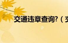 交通违章查询?（交通违章记录查询）