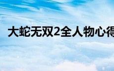 大蛇无双2全人物心得（大蛇无双2全人物）