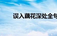 误入藕花深处全句（误入藕花深处）