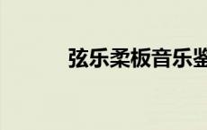 弦乐柔板音乐鉴赏（弦乐柔板）
