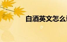 白酒英文怎么说（白酒英文）