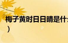 梅子黄时日日晴是什么意思（梅子黄时日日晴）