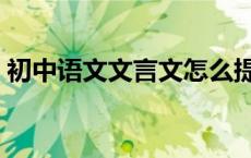 初中语文文言文怎么提升（初中语文文言文）