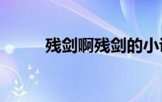 残剑啊残剑的小说（残剑诀小说）