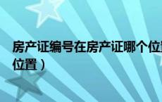房产证编号在房产证哪个位置看（房产证编号在房产证哪个位置）