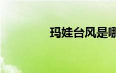 玛娃台风是哪一年（玛娃）