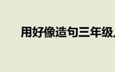 用好像造句三年级上册（用好像造句）