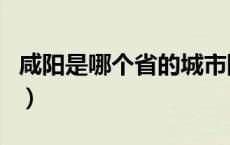 咸阳是哪个省的城市阳（咸阳是哪个省的城市）