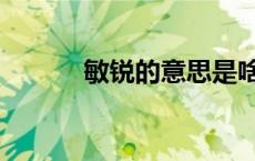 敏锐的意思是啥（敏锐的意思）